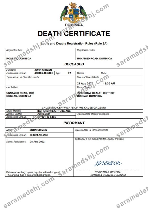 Dominica vital record death certificate Word and PDF template